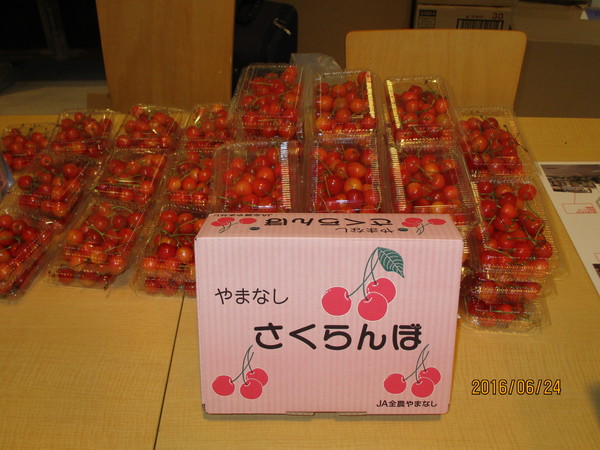 191.JPG